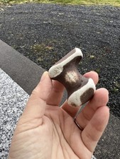 Rare Authentic Fossilized