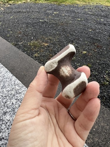 Rare authentic fossilized - rare,