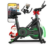 Slunse exercise Bike with LCD