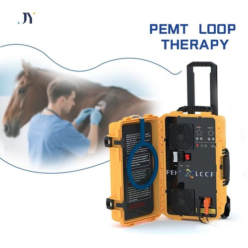 Pemf magnetic therapy device - pemf,