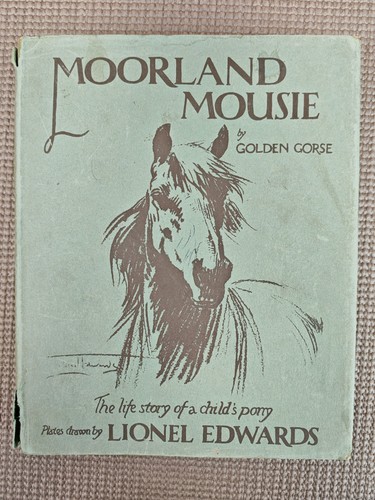 Moorland mousie golden gorse - mousie, (golden