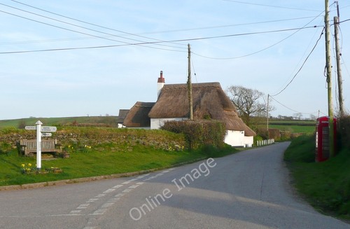 Photo 6x4 thatched cottage and - photo,
