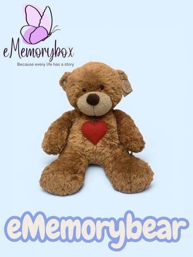 Memory teddy bear - memory, the