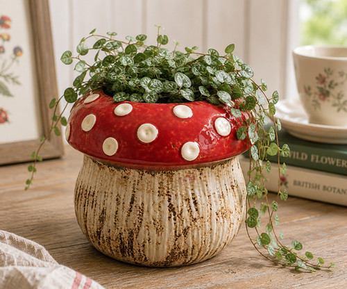 Ceramic toadstool planter - ceramic,