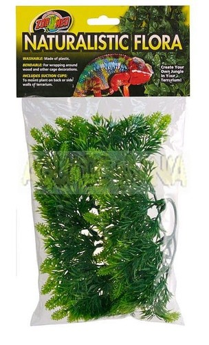 Zoo med malaysian fern large - med,