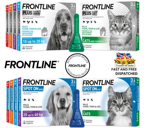 Frontline spot plus - spot, on