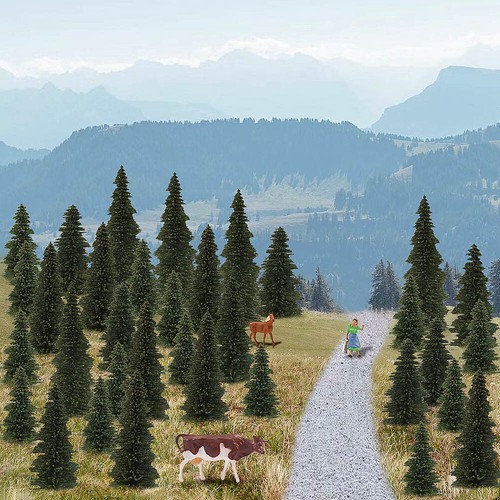 Model pine trees - pine, green