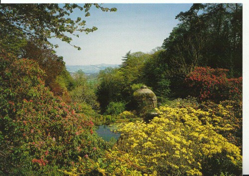 Cornwall postcard cotehele - cornwall,