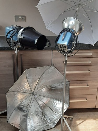 Courtenay vintage flashlights - vintage,