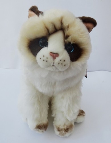 Ragdoll cat hand made - hand,
