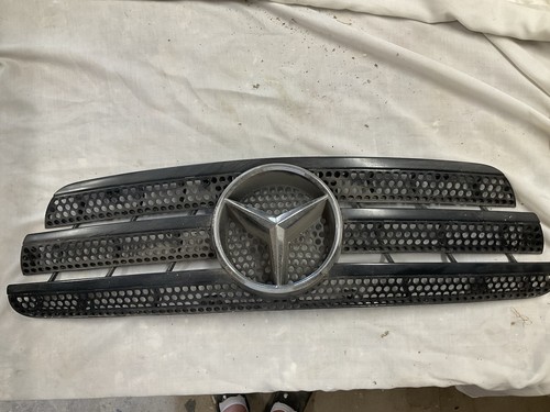 Mercedes protective grille - protective,