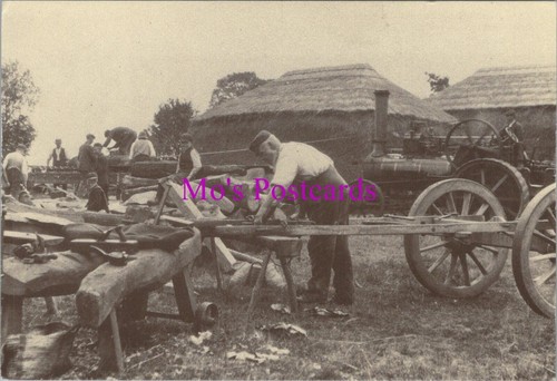 Norfolk postcard farm - norfolk,