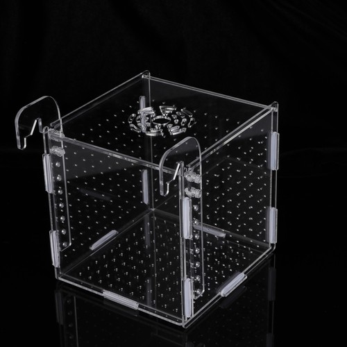 Breeding box for fish - box, tank