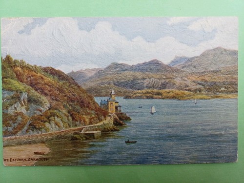 Post card salmon - card,