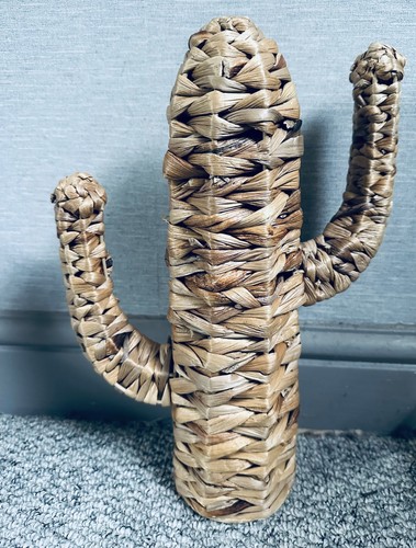 Rattan wicker cactus home - cactus,