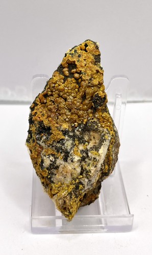Campylite dry gill caldbeck - gill,,