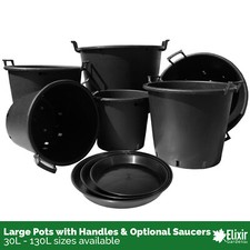 Large plant pot plastic - plant,