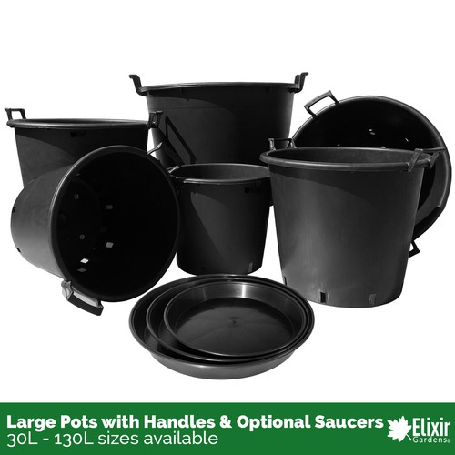 Large plant pot - large,