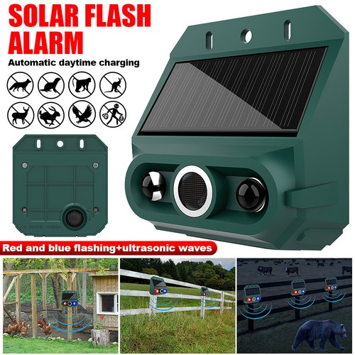 Ultrasonic cat dog fox - dog, pest