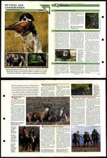 Hunting & Conservation #39 Conservation Wildlife Fact File Fold-Out Card