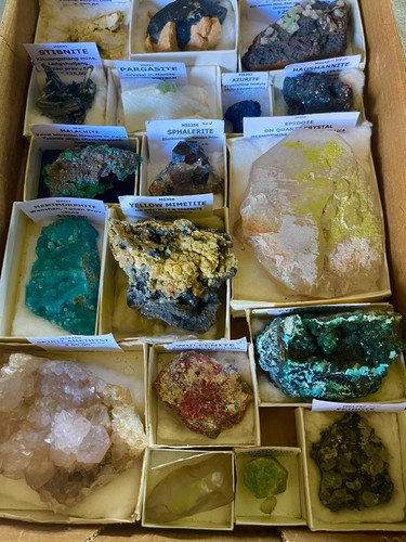 Sale full tray with - sale, of
