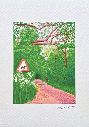 David hockney arrival of - david,