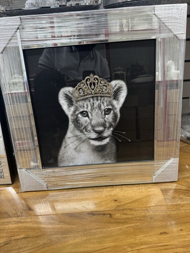 Lioness cub princess - lioness,