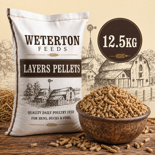 5kg layers pellets poultry - layers,