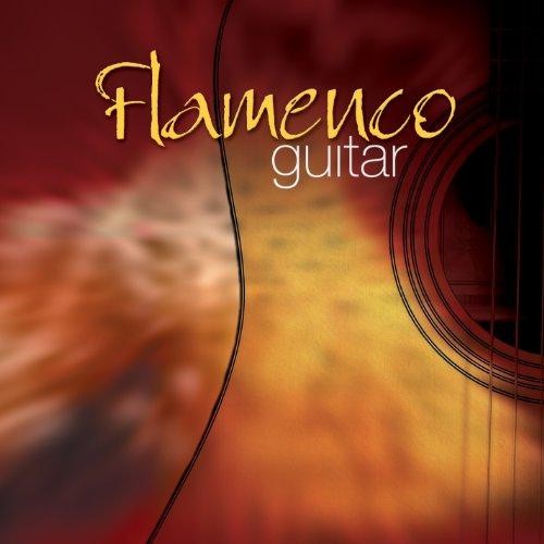 Flamenco guitar various - guitar,
