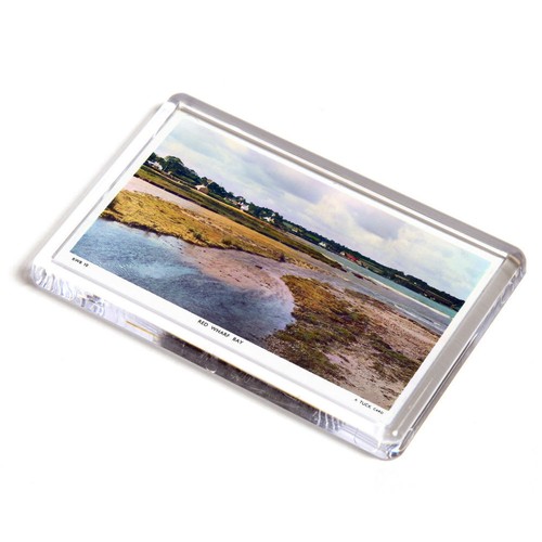 Fridge magnet vintage wales - magnet,