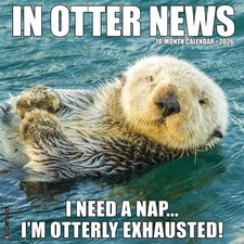 In Otter News Calendar 2026 - Humour - Month To View