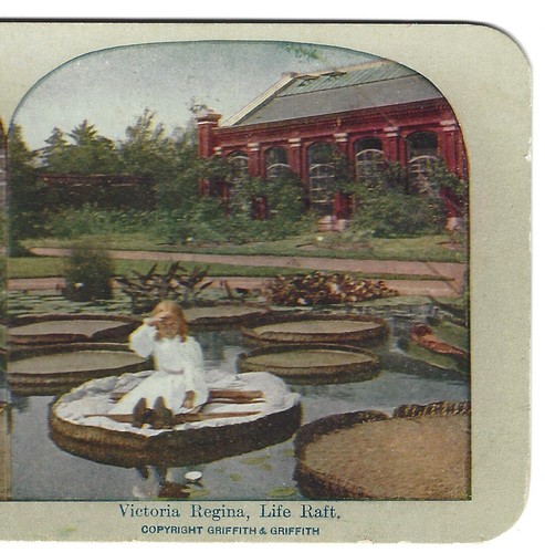 Victoria regina life - victoria, regina.