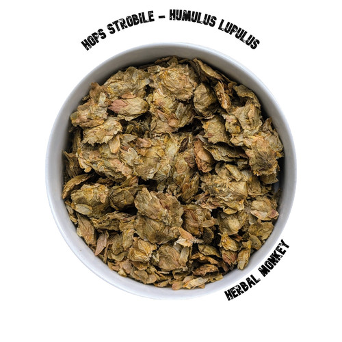 Hops strobile humulus - hops, |