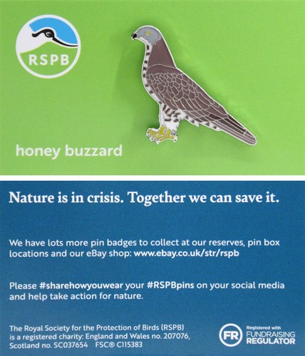 Rspb pin badge - pin, niic