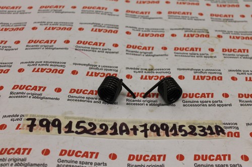 Pair exhaust valve - pair, springs