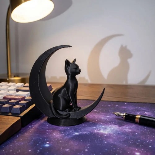 Black cat crescent - on, moon