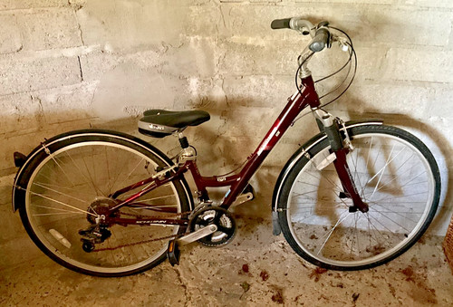Ladies leisure bicycle - ladies,