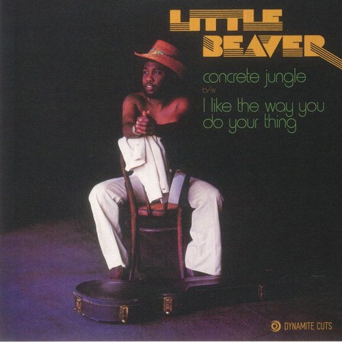 Little beaver concrete - beaver,