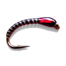 Red Holo Quill Buzzers Barbed