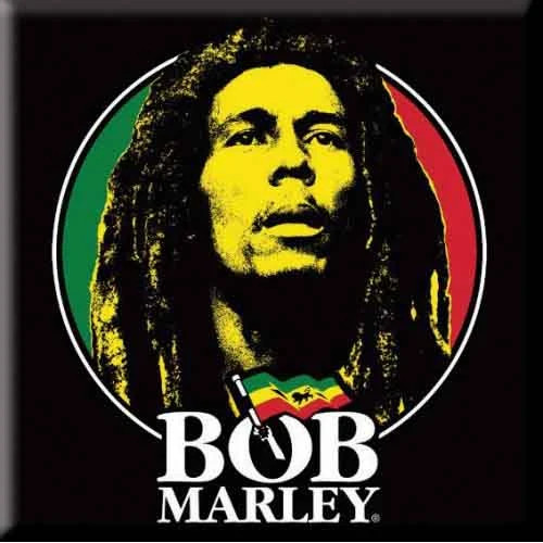 Bob marley fridge - fridge, magnet: