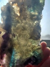 Large incredible feather