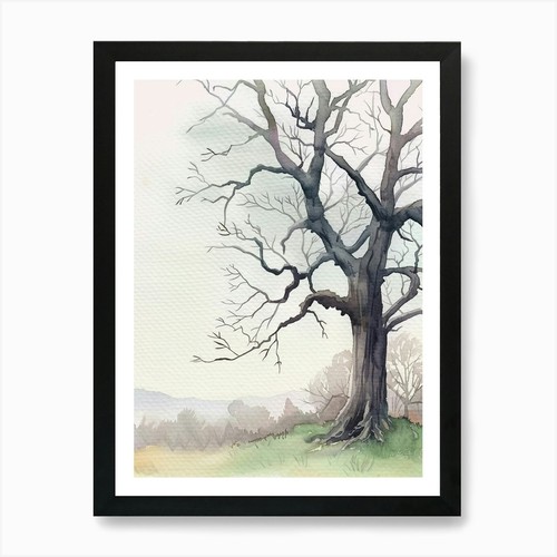 Ebony tree atmospheric - ebony,