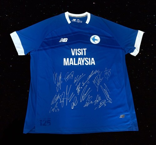 Cardiff city squad - 25/26,
