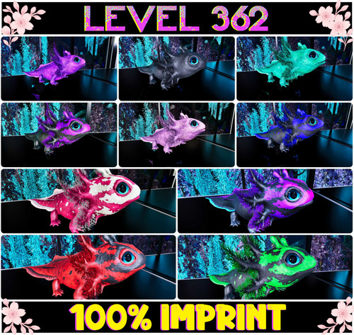 Tidepup level 362 100 imp - tidepup, [100%imp]