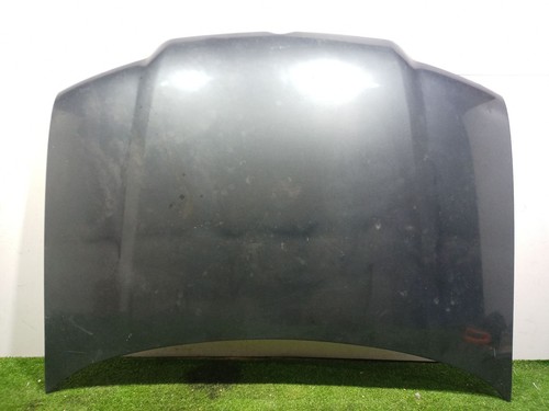 Bonnet 810505 for volkswagen - bonnet,