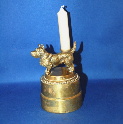 Interesting cairn terrier - cairn,