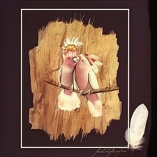 Major Mitchell (Pink)