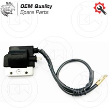 Black Ignition Coil With Spark