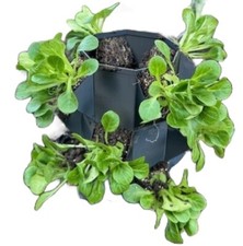 1/2/3 Tier Stackable Grow