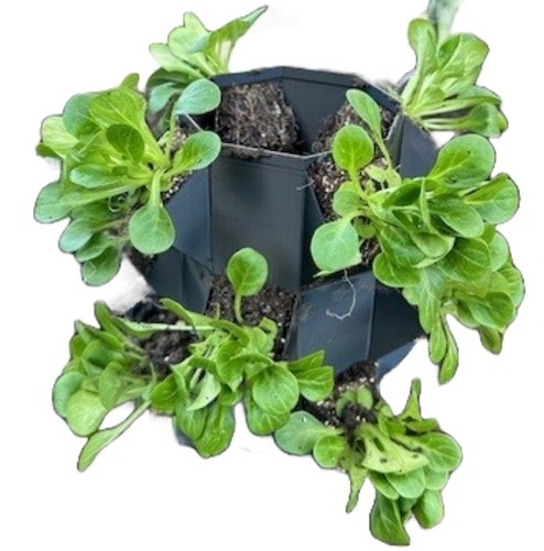 Tier stackable grow - tier,